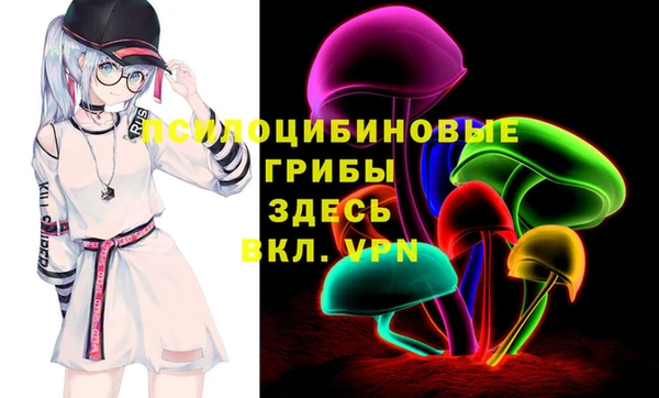 синтетический гашиш Медвежьегорск