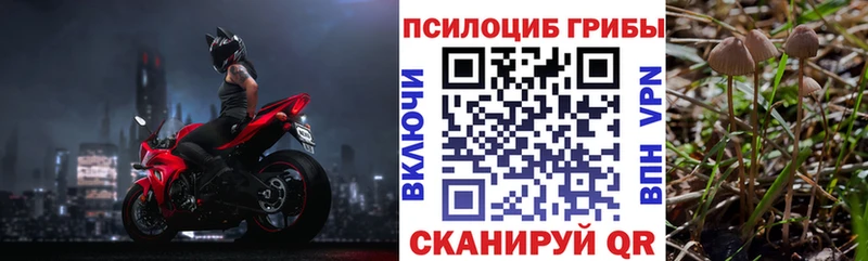 Псилоцибиновые грибы прущие грибы  Купить где  Ядрин 